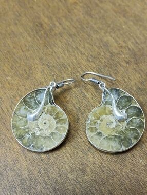Green Ammonite Fossil Drop Earrings
